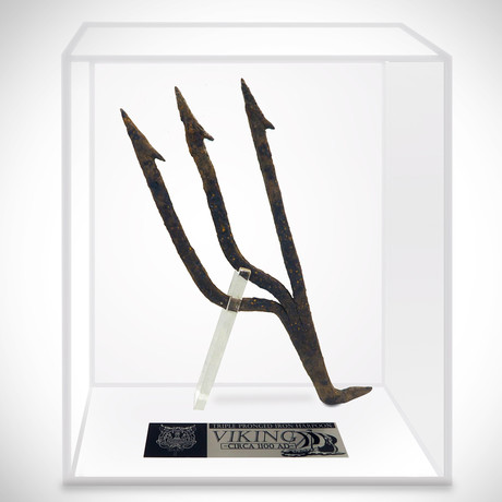 Ancient Viking Authentic Trident Harpoon // Museum Display