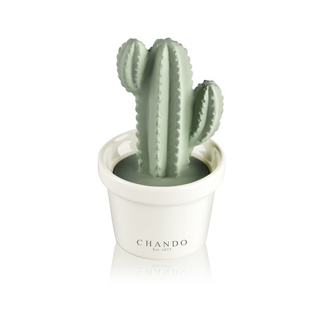 Blooming Collection Love Mini Cactus Porcelain Fragrance Diffuser