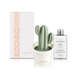 Blooming Collection Love Mini Cactus Porcelain Fragrance Diffuser