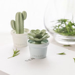 Blooming Collection Love Mini Cactus Porcelain Fragrance Diffuser