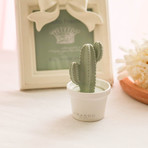 Blooming Collection Love Mini Cactus Porcelain Fragrance Diffuser