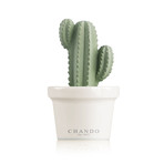 Blooming Collection Love Mini Cactus Porcelain Fragrance Diffuser