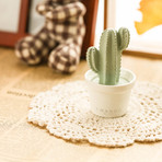 Blooming Collection Love Mini Cactus Porcelain Fragrance Diffuser