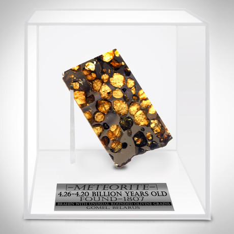 Meteorite Authentic Brahin Pallasite // Museum Display