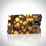 Meteorite Authentic Brahin Pallasite // Museum Display