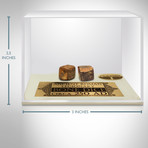 Ancient Roman Authentic Bone Dice // Museum Display