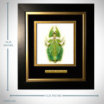 Leaf Phylliidae Authentic Mimic Insect // Custom Frame