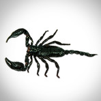 Scorpion-Palamnaersus Authentic Taxidermy // Custom Shadow Box Frame