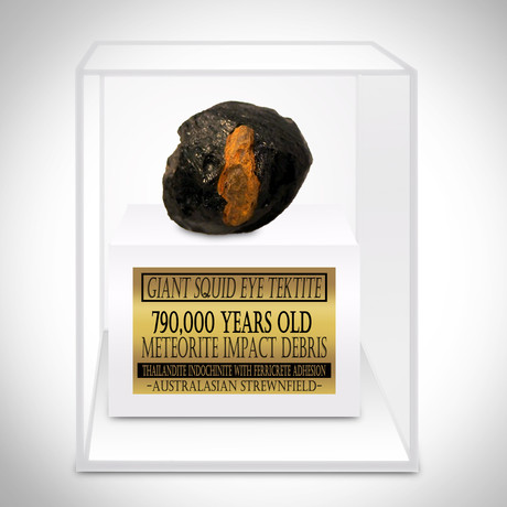 Meteorite Authentic Giant Squid Eye Tektite // Museum Display