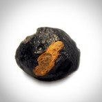 Meteorite Authentic Giant Squid Eye Tektite // Museum Display
