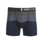 Cotton Stripe Boxer Briefs // Heather + Blue (M)