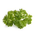 Refill // 3 Pieces // Parsley // Set of 2