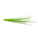 Refill // 3 Pieces // Chives // Set of 2