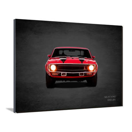 Ford Mustang Shelby 1969 (16"W x 12"H x 2"D)