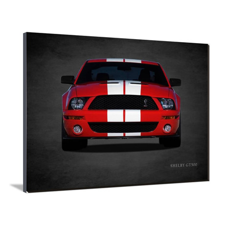 Ford Shelby GT500 (16"W x 12"H x 2"D)