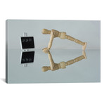 Push Yourself // Jacqueline Hammer (26"W x 18"H x 0.75"D)