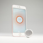 Stilla Motion // Silver