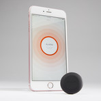 Stilla Motion // Black