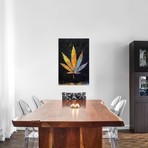 Cannabis // Michael Creese