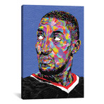 Scottie Pippen (26"W x 18"H x 0.75"D)