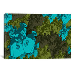 Money Bag Camo // Steez (26"W x 18"H x 0.75"D)