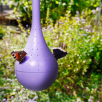 Belightful Butterfly Oasis // Lilac