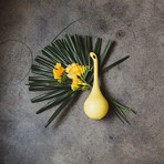 Belightful Butterfly Oasis // Yellow