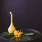 Belightful Butterfly Oasis // Yellow