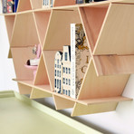 Floating Pocket Book Shelf (Chrome)