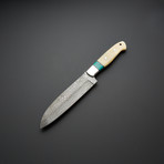 Turquoise Stone Bone Deba Sushi Chef Knife