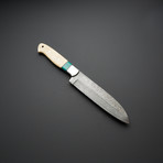 Turquoise Stone Bone Deba Sushi Chef Knife