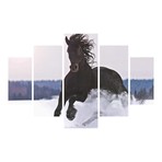 Black Mustang in Snow