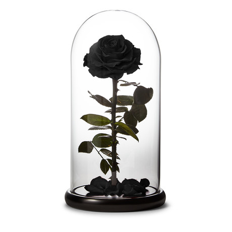 Small Enchanted Black Rose