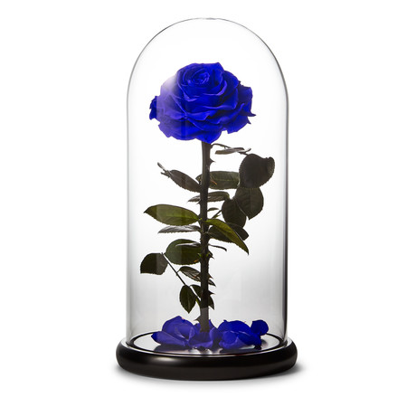 Small Enchanted Blue Rose