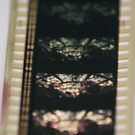 Star Wars Display // Stormtroopers Guard Solo's Ship