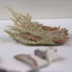 Star Wars Display // Luke Skywalker