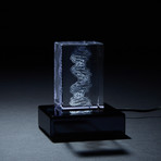 DNA Crystal (With LED Base)