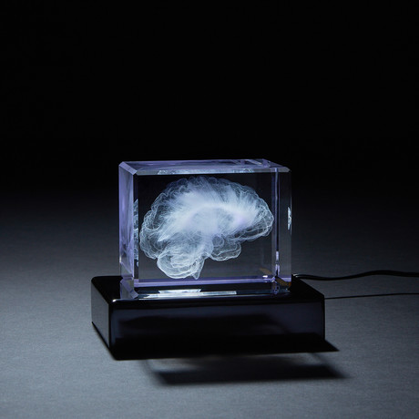 Brain Crystal (No Base)