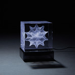 Calabi-Yau Crystal (With LED Base)