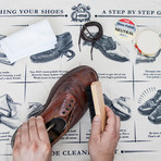 Shoe Care Kit