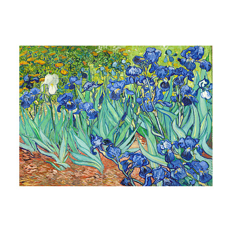 Irises // 1889