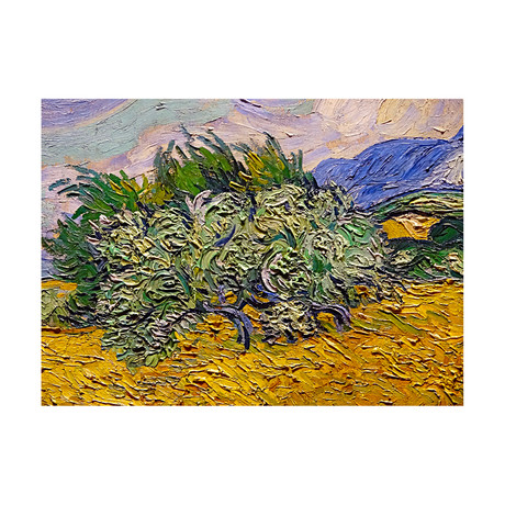 Wheat Field with Cypresses (Closeup) // 1889