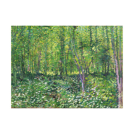 Trees and Undergrowth // 1890