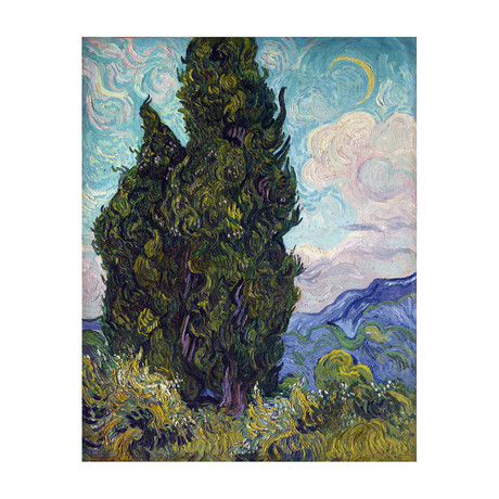 Cypresses // 1889