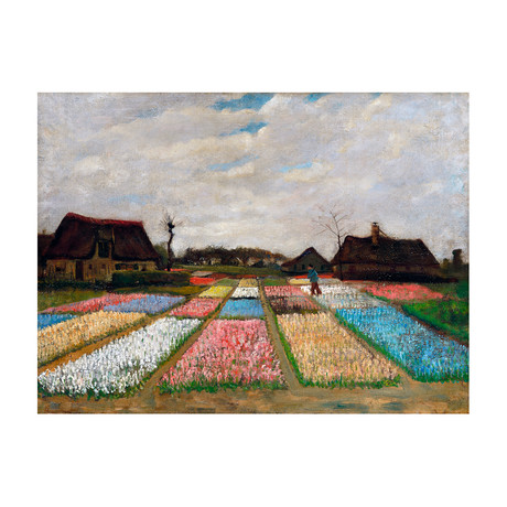 Flower Beds in Holland // 1893