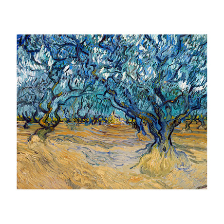 Olive Orchard II // 1889