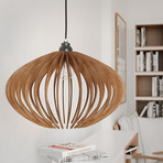 Elliptic Modern Hanging Lamp