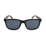 Avery Sunglasses // Dark Havana