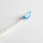 Dental Pro Teeth Whitening System // White