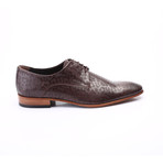William Dress Shoe // Brown (Euro: 39)